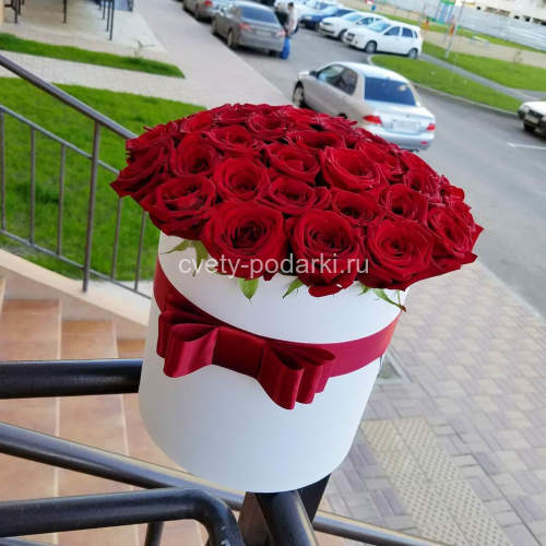 Красные розы в коробке (41 шт.)